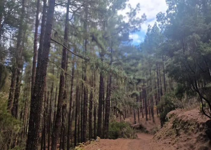 On The Edge Of The Teide National Park *