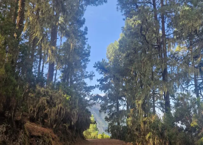 Apartmán On The Edge Of The Teide National Park